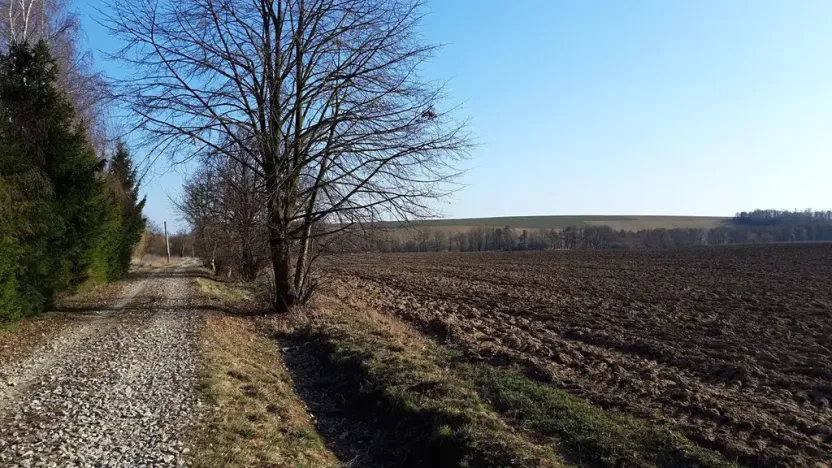 Prodej pozemku pro bydlení, Libina, 1180 m2
