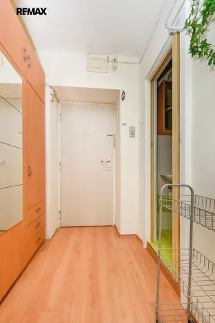 Prodej bytu 1+1, Plzeň, Kyjevská, 29 m2