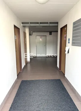 Pronájem skladu, Brno, 33 m2