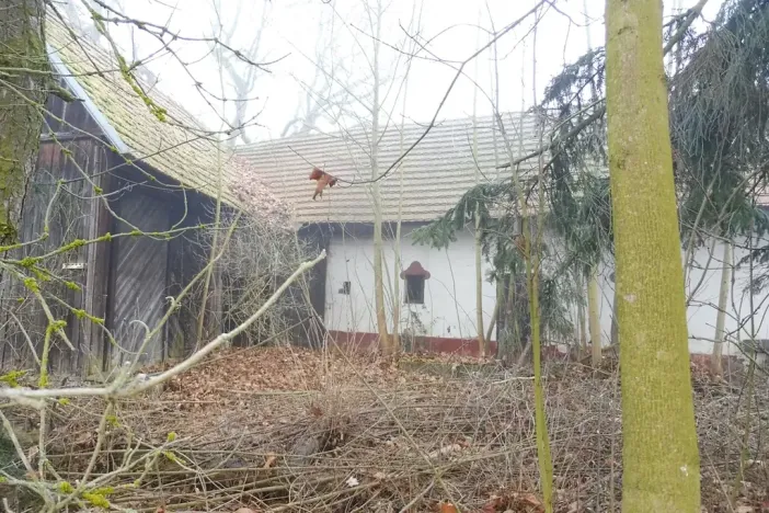 Dražba rodinného domu, Milevsko, 80 m2