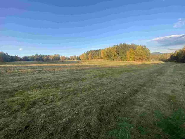 Prodej pole, Cvikov - Trávník, 7516 m2