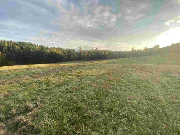 Prodej pole, Cvikov - Trávník, 7516 m2