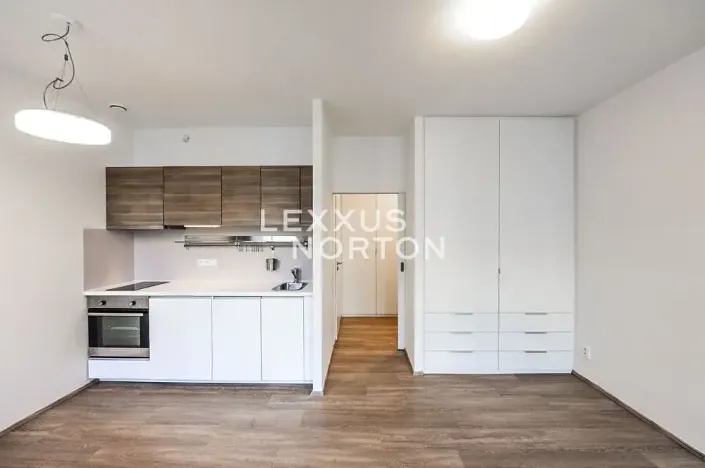 Pronájem bytu 1+kk, Praha - Vinohrady, Lucemburská, 30 m2