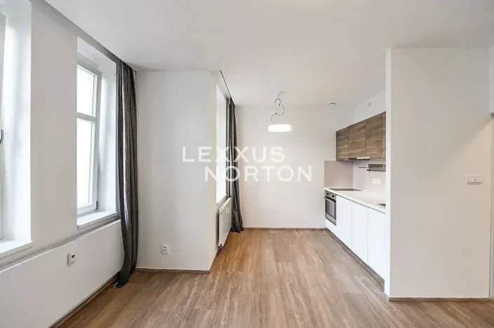 Pronájem bytu 1+kk, Praha - Vinohrady, Lucemburská, 30 m2