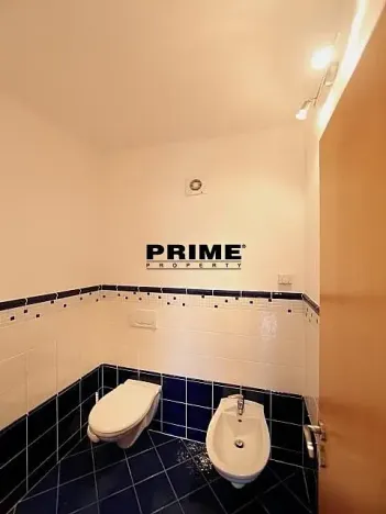 Pronájem rodinného domu, Praha - Přední Kopanina, Nové domy, 410 m2