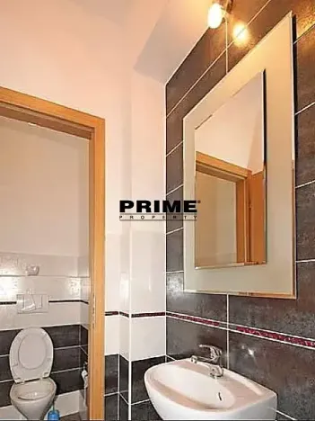 Pronájem rodinného domu, Praha - Střešovice, Nad hradním vodojemem, 350 m2
