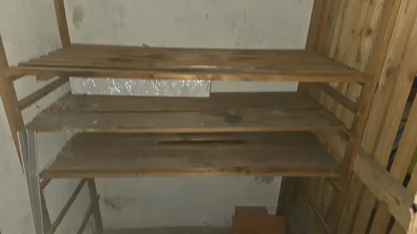 Pronájem bytu 2+1, Frýdlant nad Ostravicí, Nerudova, 54 m2