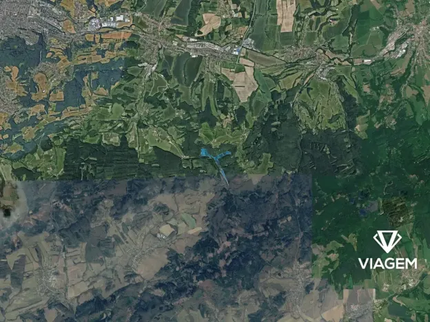 Prodej podílu lesa, Lípa, 2047 m2