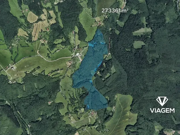 Prodej podílu lesa, Lípa, 4141 m2