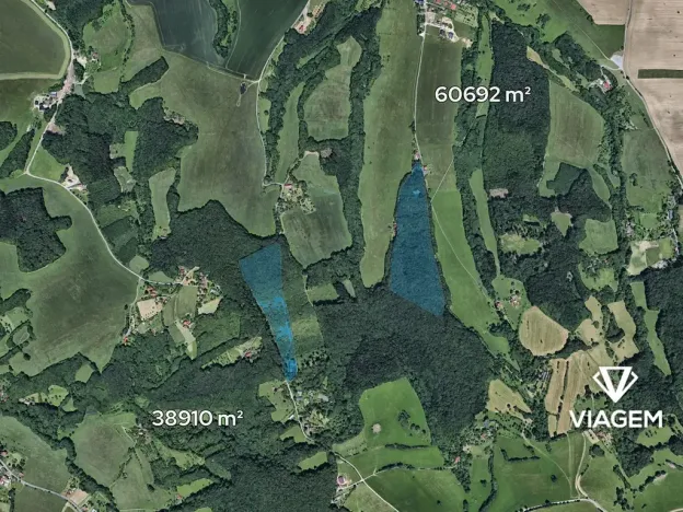 Prodej podílu lesa, Lípa, 1564 m2