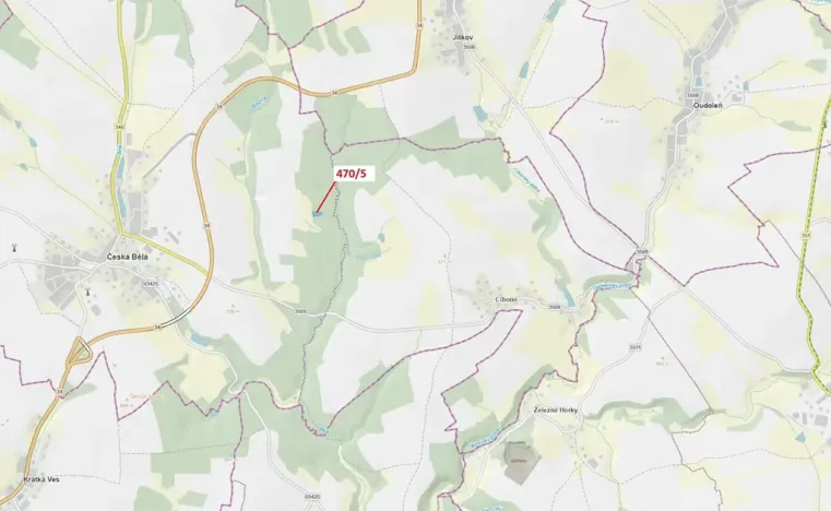 Dražba lesa, Česká Bělá, 2751 m2
