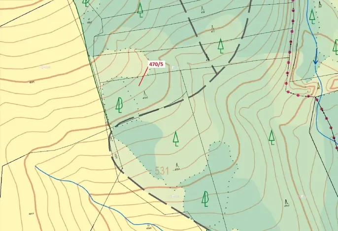 Dražba lesa, Česká Bělá, 2751 m2