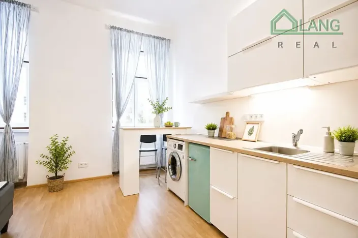 Pronájem bytu 1+kk, Brno, Koliště, 21 m2