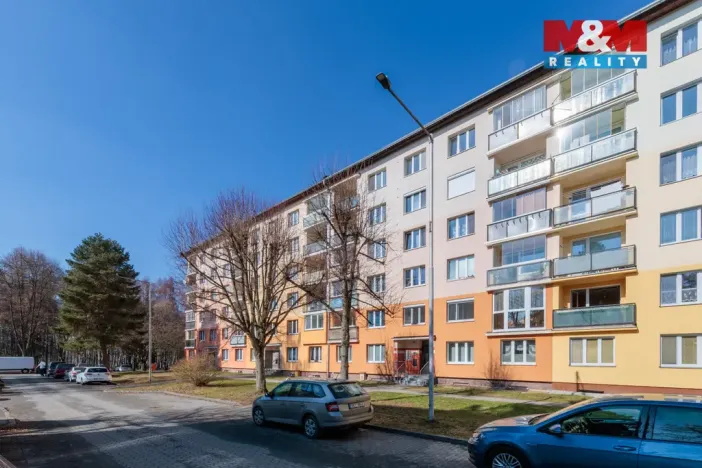 Prodej bytu 1+kk, Horní Slavkov, U Lesoparku, 19 m2