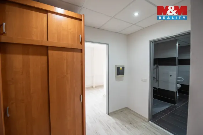 Pronájem bytu 1+kk, Hradec Králové, Sušilova, 32 m2