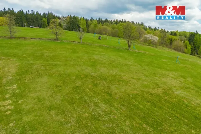Prodej louky, Albrechtice v Jizerských horách, 13478 m2