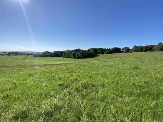 Prodej pole, Křešín, 6536 m2