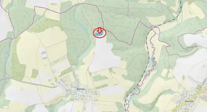 Prodej lesa, Sulice, 4719 m2