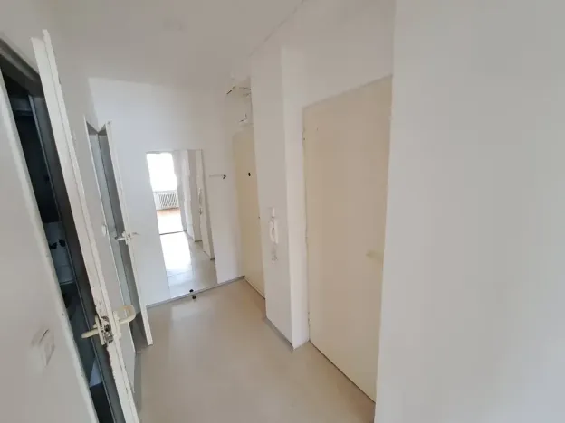 Prodej bytu 2+1, Brno, Plevova, 50 m2
