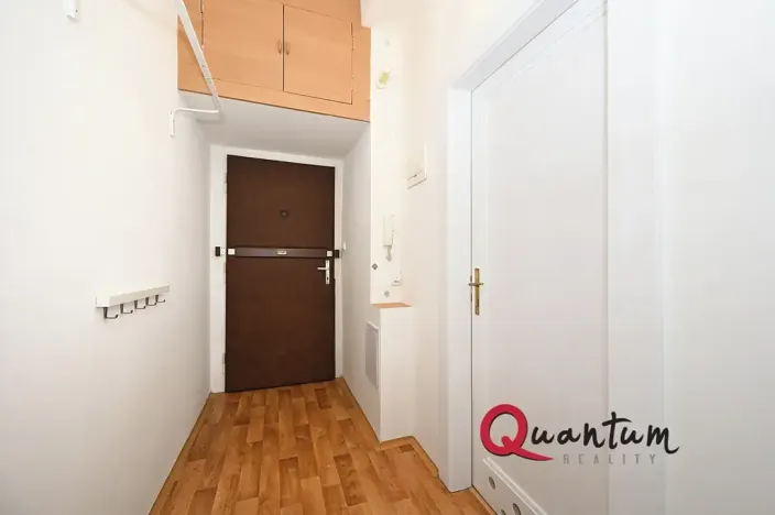 Pronájem bytu 1+kk, Praha - Vinohrady, Fričova, 31 m2