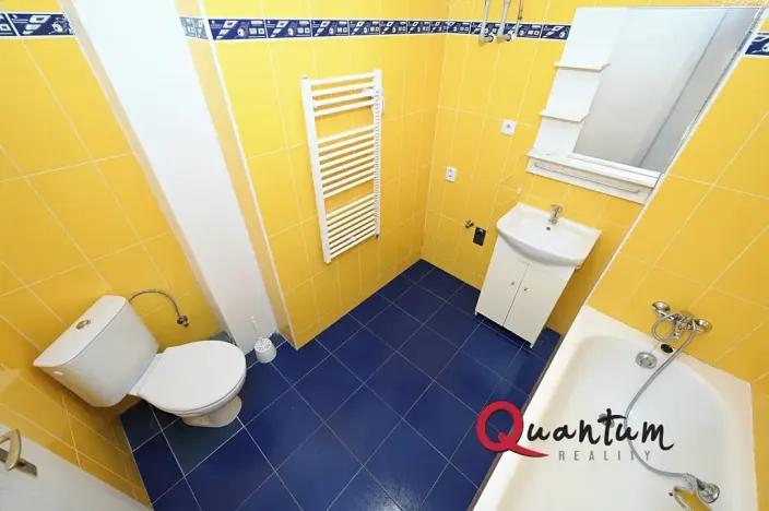 Pronájem bytu 1+kk, Praha - Vinohrady, Fričova, 31 m2