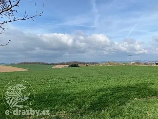 Dražba pole, Bystřice, 11372 m2