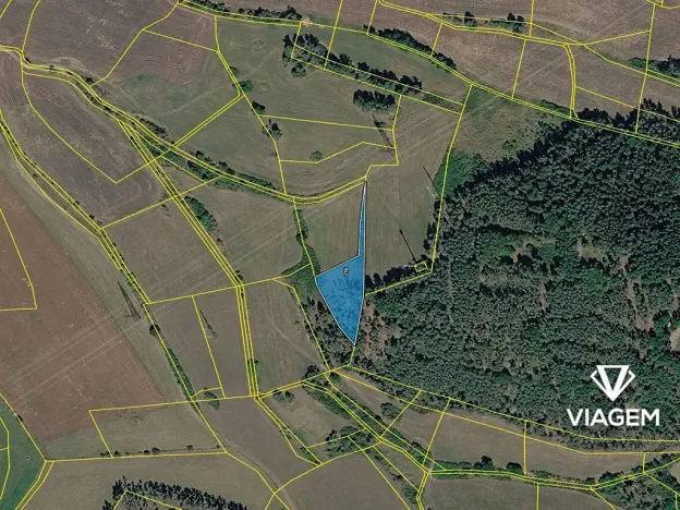 Prodej lesa, Nečín, 2595 m2