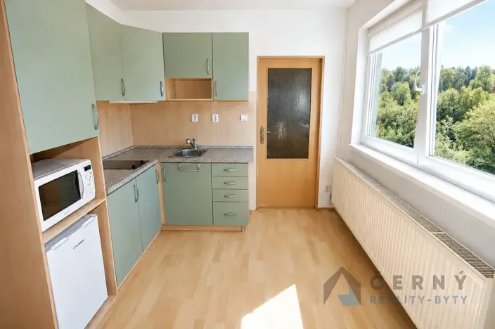 Prodej bytu 1+kk, Liberec, U Sadu, 29 m2