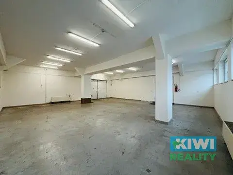 Pronájem skladu, Ostrava, Pavlovova, 110 m2