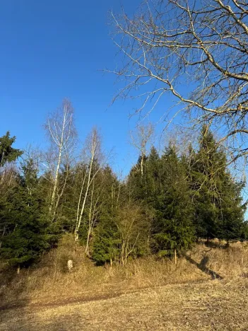Prodej lesa, Roztoky u Jilemnice, 5755 m2