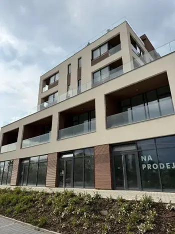 Prodej bytu 2+kk, Praha - Žižkov, Malešická, 49 m2