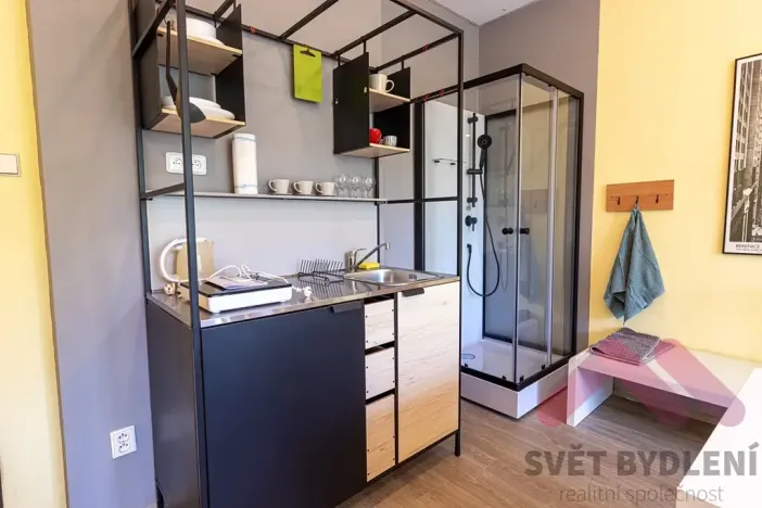 Pronájem bytu 1+kk, Praha - Vršovice, Tolstého, 28 m2