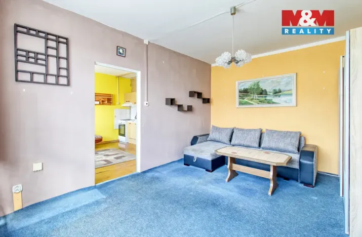 Prodej bytu 1+1, Litvínov - Horní Litvínov, Čapkova, 36 m2