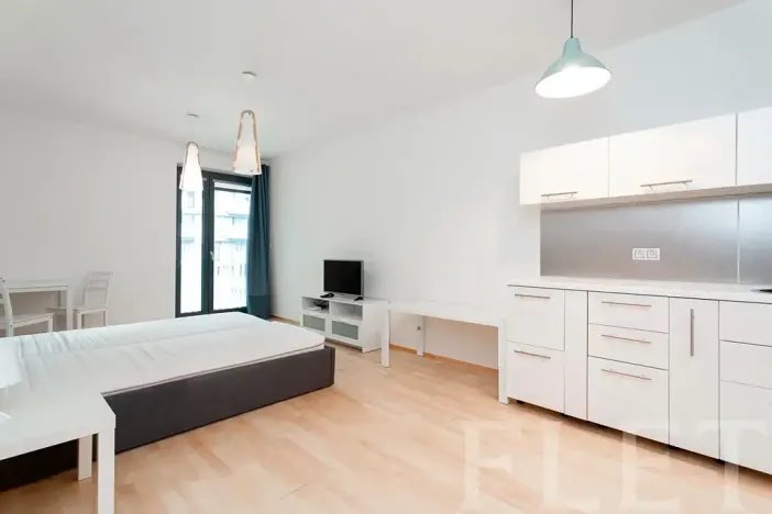 Pronájem bytu 1+kk, Praha - Žižkov, Olšanská, 43 m2