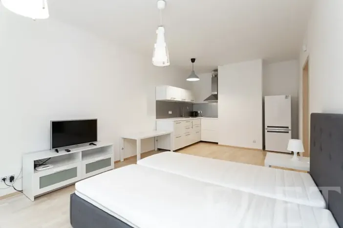 Pronájem bytu 1+kk, Praha - Žižkov, Olšanská, 43 m2
