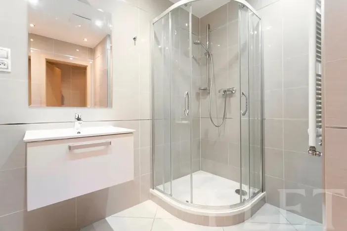 Pronájem bytu 1+kk, Praha - Žižkov, Olšanská, 43 m2