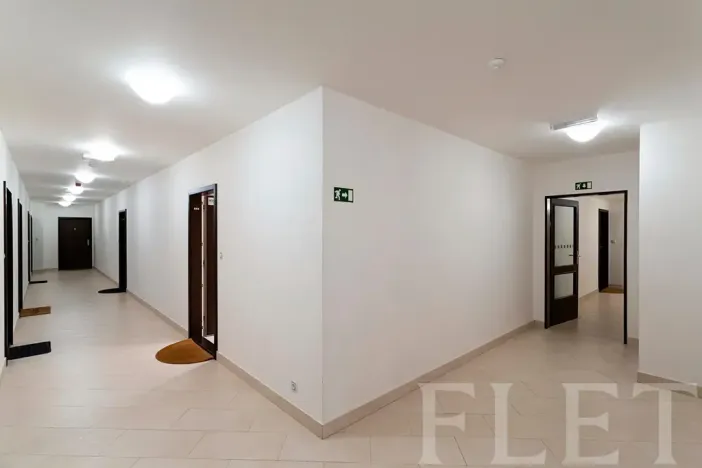 Pronájem bytu 1+kk, Praha - Žižkov, Olšanská, 43 m2