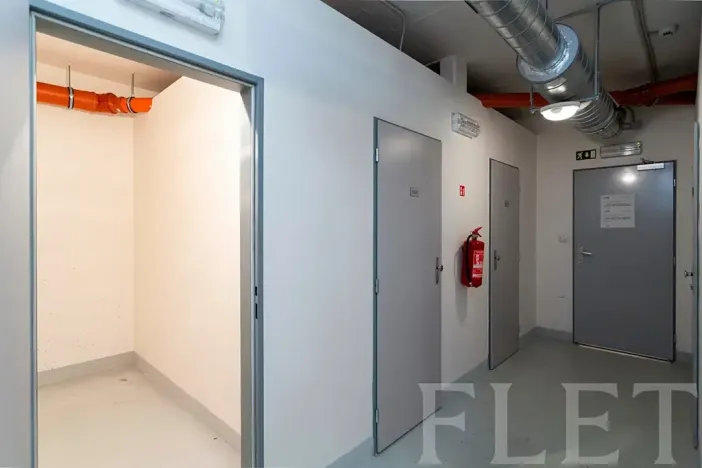 Pronájem bytu 1+kk, Praha - Žižkov, Olšanská, 43 m2