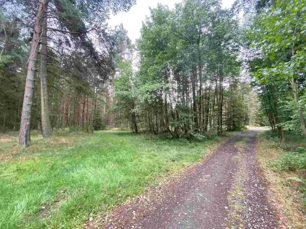 Prodej pozemku, Kladruby - Tuněchody, 1744 m2
