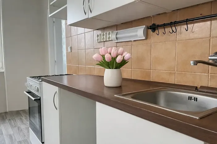 Pronájem bytu 2+1, Litvínov, K Loučkám, 60 m2