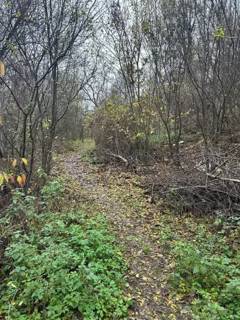Prodej chalupy, Brno, Vinohrady, 150 m2