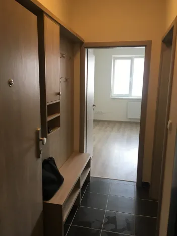 Pronájem bytu 1+kk, Brno, Vranovská, 26 m2