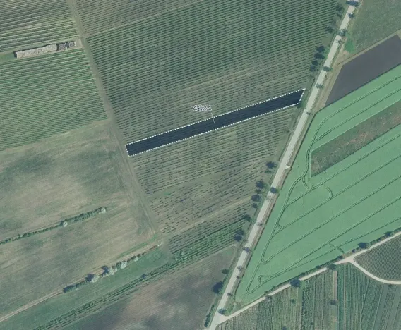 Prodej sadu/vinice, Hovorany, 3926 m2