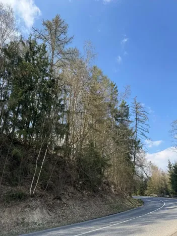 Prodej podílu lesa, Železný Brod, 5530 m2