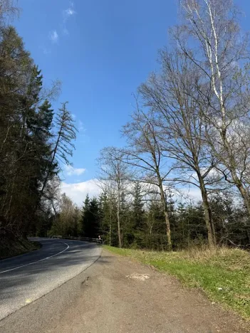 Prodej podílu lesa, Železný Brod, 5530 m2