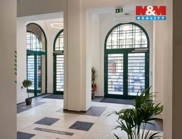 Prodej obchodního prostoru, Opava - Město, Masarykova třída, 120 m2