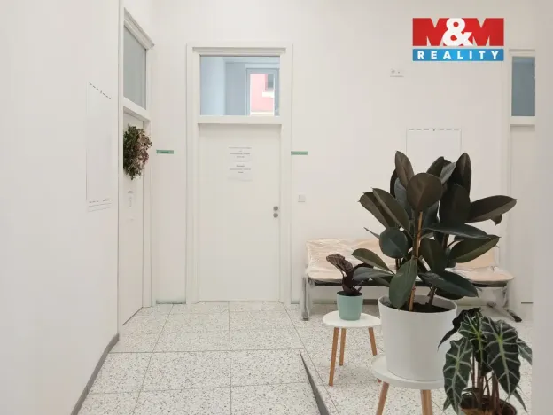 Prodej obchodního prostoru, Opava - Město, Masarykova třída, 100 m2
