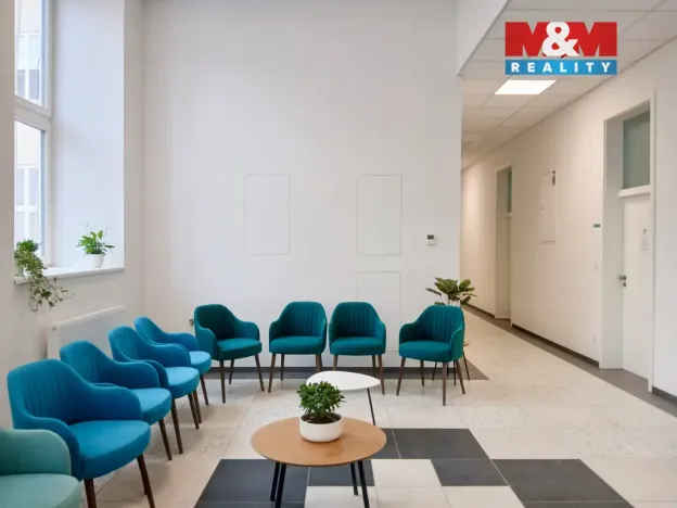 Prodej obchodního prostoru, Opava - Město, Masarykova třída, 40 m2