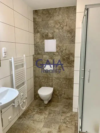 Pronájem bytu 1+kk, Rohatec, Moravní, 40 m2