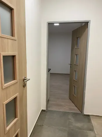 Pronájem bytu 1+kk, Brno, Křenová, 20 m2